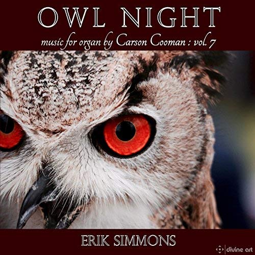 review cooman owl night x1 cong